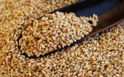 Sesame tops Nigeria’s agric export amid COVID-19 pandemic