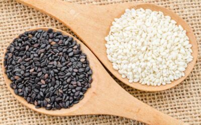 Sesame seed can generate over $1bn annually for Nigeria ―NSSAN